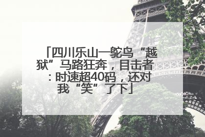 四川乐山一鸵鸟“越狱”马路狂奔，目击者：时速超40码，还对我“笑”了下