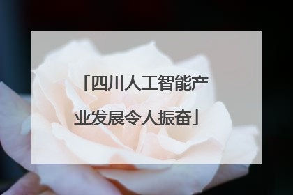 四川人工智能产业发展令人振奋