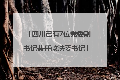 四川已有7位党委副书记兼任政法委书记