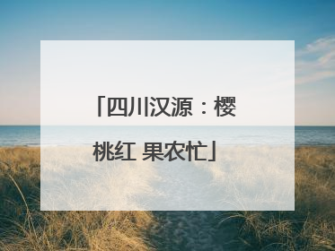 四川汉源：樱桃红 果农忙