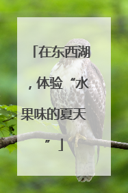 在东西湖，体验“水果味的夏天”