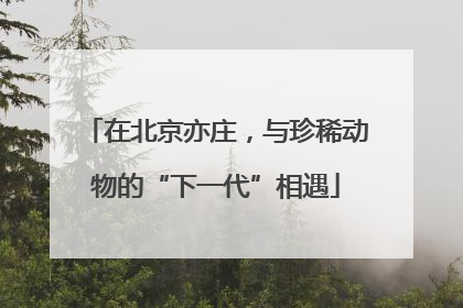 在北京亦庄，与珍稀动物的“下一代”相遇