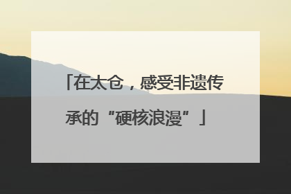 在太仓，感受非遗传承的“硬核浪漫”