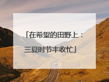 在希望的田野上：三夏时节丰收忙