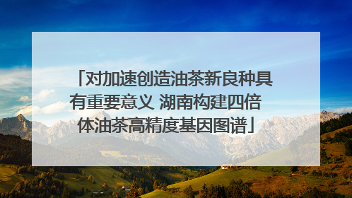 对加速创造油茶新良种具有重要意义 湖南构建四倍体油茶高精度基因图谱