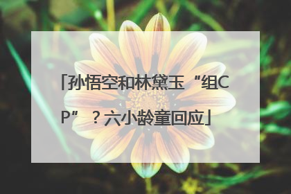 孙悟空和林黛玉“组CP”？六小龄童回应