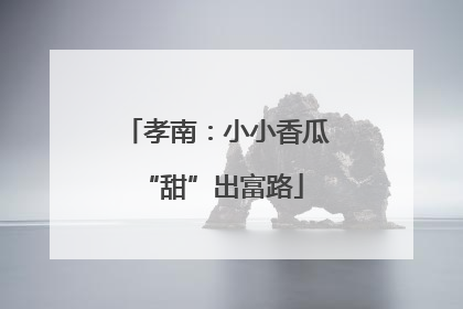 孝南：小小香瓜 “甜”出富路