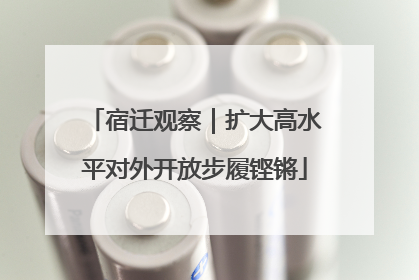 宿迁观察｜扩大高水平对外开放步履铿锵