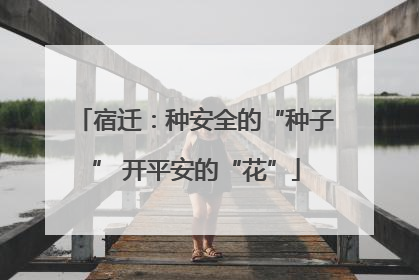 宿迁：种安全的“种子” 开平安的“花”