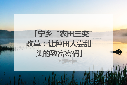 宁乡“农田三变”改革：让种田人尝甜头的致富密码