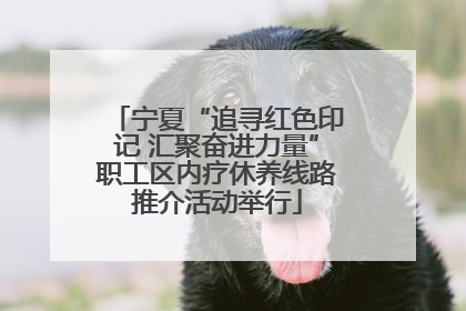 宁夏“追寻红色印记 汇聚奋进力量”职工区内疗休养线路推介活动举行
