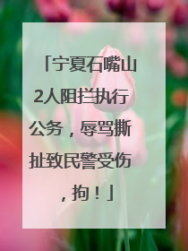 宁夏石嘴山2人阻拦执行公务，辱骂撕扯致民警受伤，拘！