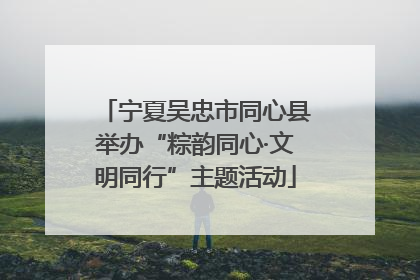 宁夏吴忠市同心县举办“粽韵同心·文明同行”主题活动