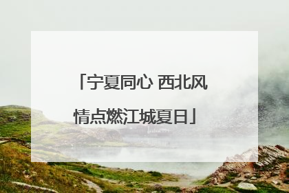 宁夏同心 西北风情点燃江城夏日