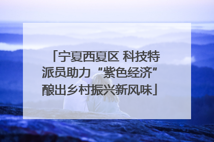 宁夏西夏区 科技特派员助力“紫色经济”酿出乡村振兴新风味