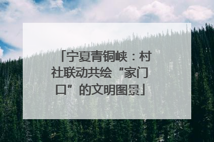 宁夏青铜峡：村社联动共绘“家门口”的文明图景