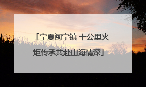 宁夏闽宁镇 十公里火炬传承共赴山海情深