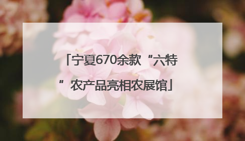 宁夏670余款“六特”农产品亮相农展馆