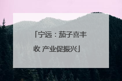 宁远：茄子喜丰收 产业促振兴