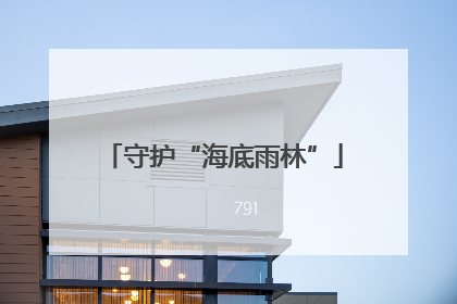 守护“海底雨林”