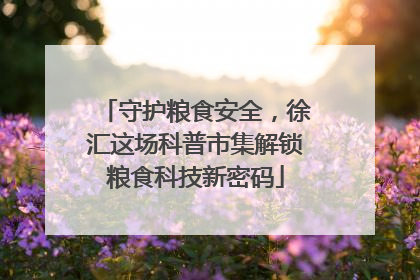 守护粮食安全，徐汇这场科普市集解锁粮食科技新密码