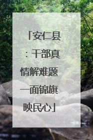 安仁县：干部真情解难题一面锦旗映民心