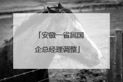 安徽一省属国企总经理调整