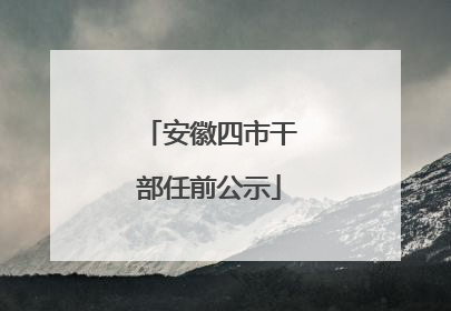 安徽四市干部任前公示
