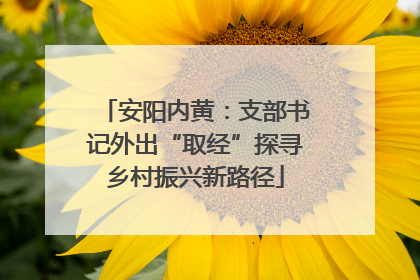 安阳内黄：支部书记外出“取经”探寻乡村振兴新路径