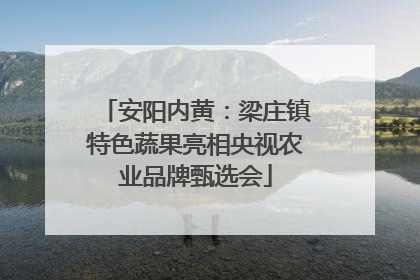 安阳内黄：梁庄镇特色蔬果亮相央视农业品牌甄选会