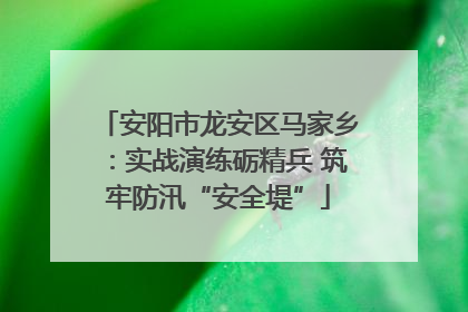 安阳市龙安区马家乡：实战演练砺精兵 筑牢防汛“安全堤”