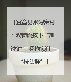 宜章县水浸窝村：双物流按下“加速键” 杨梅锁住“枝头鲜”
