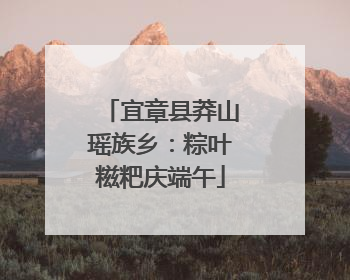 宜章县莽山瑶族乡：粽叶糍粑庆端午