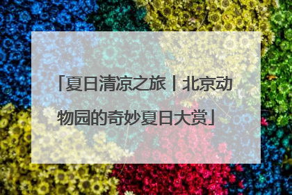 夏日清凉之旅丨北京动物园的奇妙夏日大赏