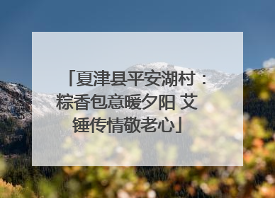 夏津县平安湖村：粽香包意暖夕阳 艾锤传情敬老心