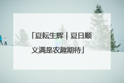夏耘生辉｜夏日顺义满是农趣期待