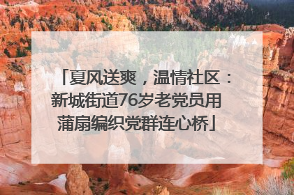 夏风送爽，温情社区：新城街道76岁老党员用蒲扇编织党群连心桥