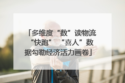 多维度“数”读物流“快跑” “喜人”数据勾勒经济活力画卷