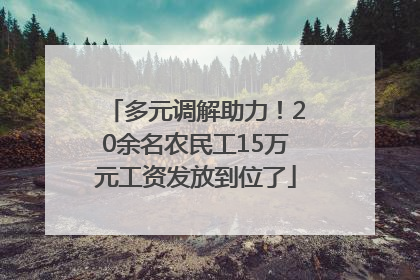 多元调解助力！20余名农民工15万元工资发放到位了