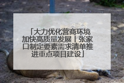 大力优化营商环境 加快高质量发展丨张家口制定要素需求清单推进重点项目建设