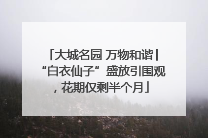 大城名园 万物和谐│“白衣仙子”盛放引围观，花期仅剩半个月