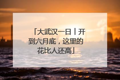 大武汉一日︱开到六月底，这里的花比人还高