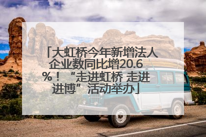 大虹桥今年新增法人企业数同比增20.6%！“走进虹桥 走进进博”活动举办