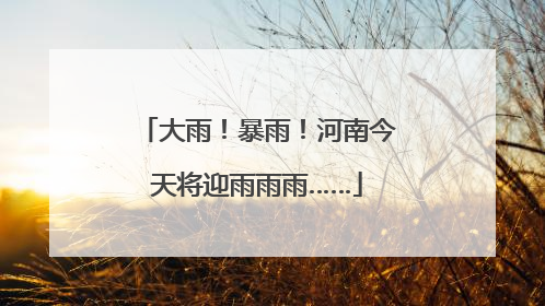 大雨！暴雨！河南今天将迎雨雨雨……