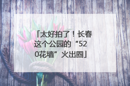 太好拍了！长春这个公园的“520花墙”火出圈
