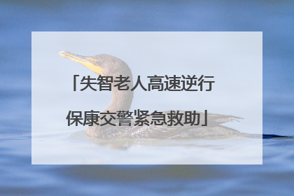 失智老人高速逆行 保康交警紧急救助