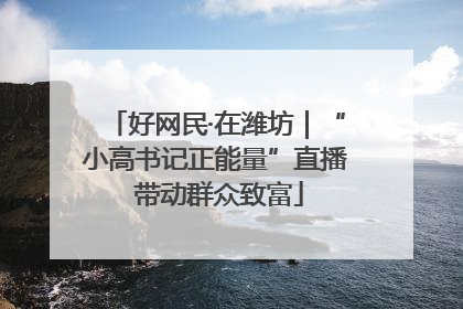 好网民·在潍坊｜“小高书记正能量”直播 带动群众致富