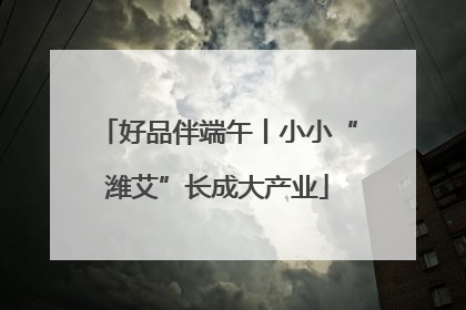 好品伴端午丨小小“潍艾”长成大产业