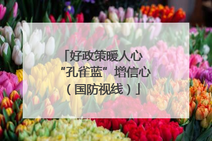 好政策暖人心 “孔雀蓝”增信心（国防视线）