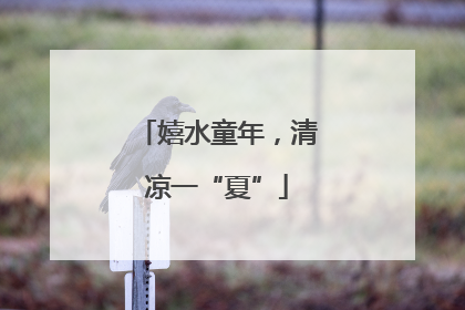 嬉水童年，清凉一“夏”